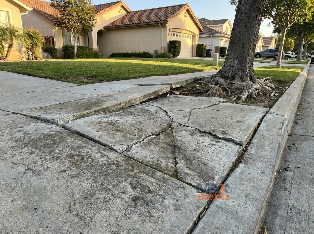 Cracked and heaved concrete driveway approach caused by street tree root damage in Irvine, CA